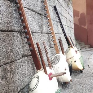 Instrumentos Musicales