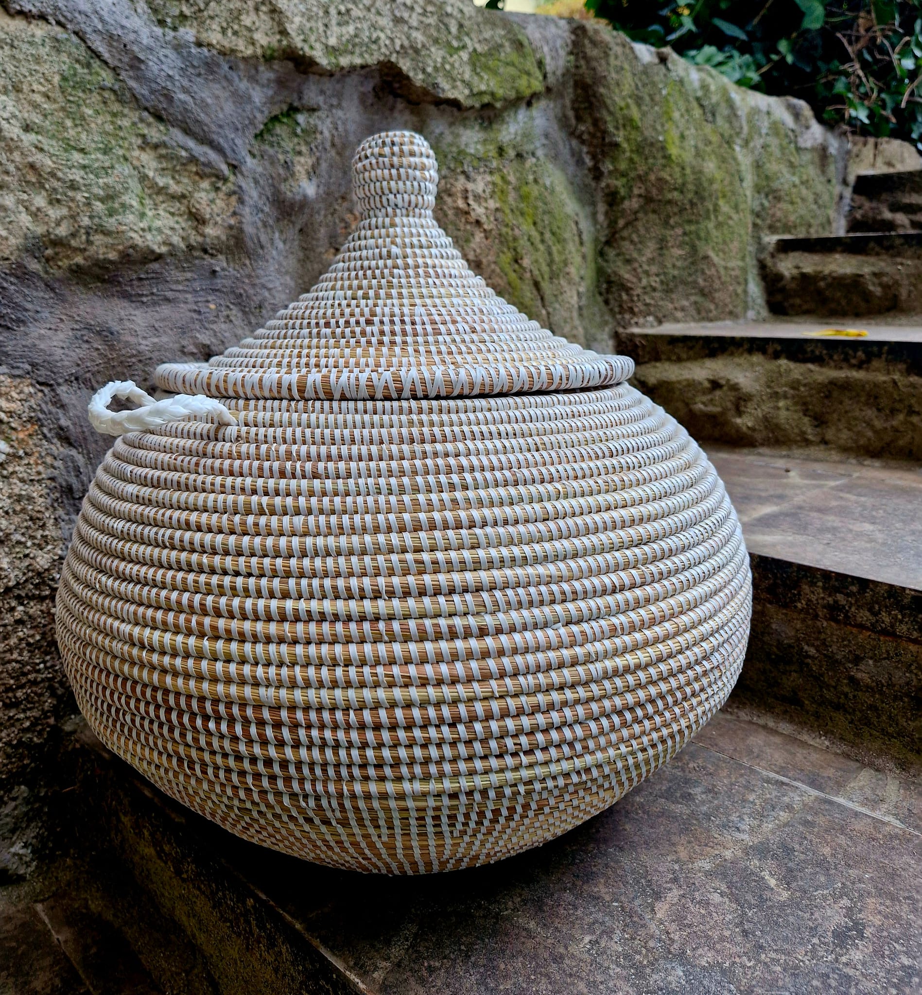 Cesto Ngor