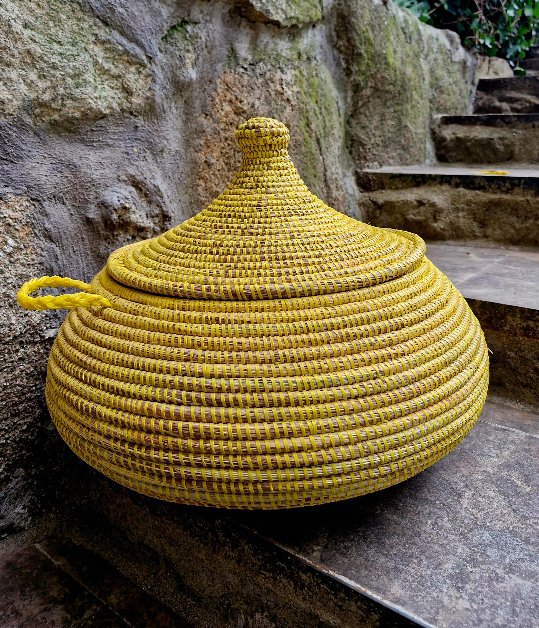 Cesto Ngor