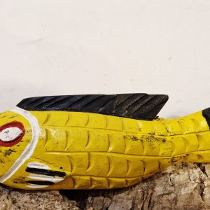 Pez Bozo Mediano.